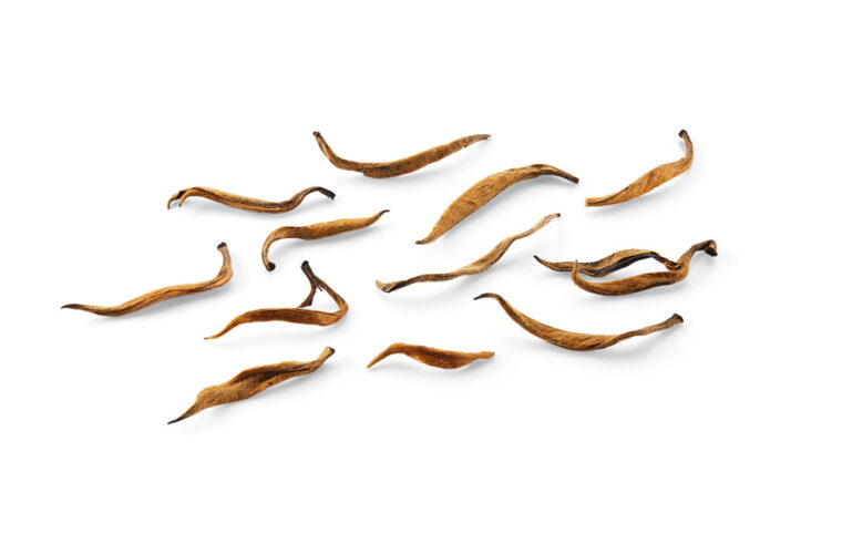 Ancient Artisan Golden Buds Loose leaf tea