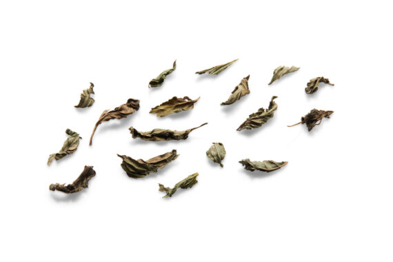 Organic Whole leaf Peppermint tea leaves - Ripple Effect Tea